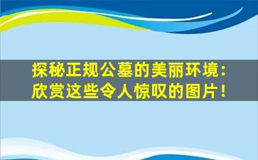 探秘正规公墓的美丽环境：欣赏这些令人惊叹的图片！