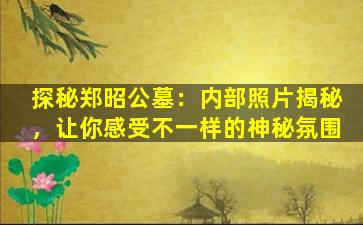 探秘郑昭公墓：内部照片揭秘，让你感受不一样的神秘氛围