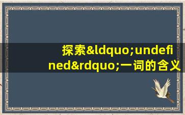 探索“undefined”一词的含义：深入浅出解析