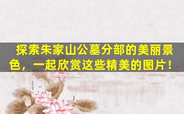 探索朱家山公墓分部的美丽景色，一起欣赏这些精美的图片！