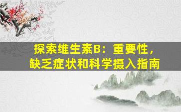探索维生素B：重要性，缺乏症状和科学摄入指南