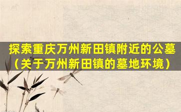 探索重庆万州新田镇附近的公墓（关于万州新田镇的墓地环境）
