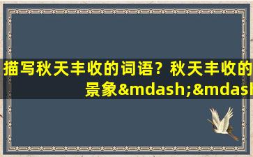 描写秋天丰收的词语？秋天丰收的景象——金黄的稻田