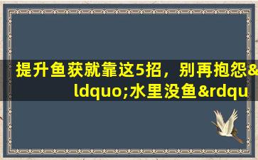 提升鱼获就靠这5招，别再抱怨“水里没鱼”，方法对路钓得才多