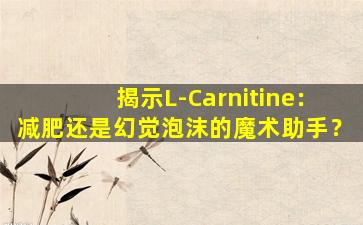 揭示L-Carnitine：减肥还是幻觉泡沫的魔术助手？