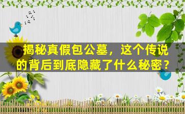 揭秘真假包公墓，这个传说的背后到底隐藏了什么秘密？