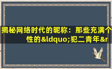 揭秘网络时代的昵称：那些充满个性的“犯二青年”