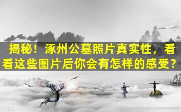 揭秘！涿州公墓照片真实性，看看这些图片后你会有怎样的感受？