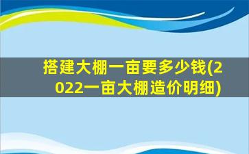 搭建大棚一亩要多少钱(2022一亩大棚造价明细)