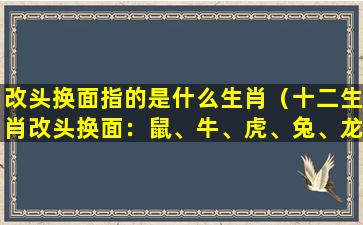 改头换面指的是什么生肖（十二生肖改头换面：鼠、牛、虎、兔、龙、蛇、马、羊、猴、鸡、狗、猪）
