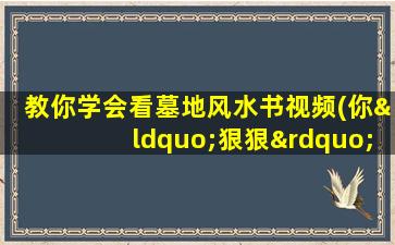 教你学会看墓地风水书视频(你“狠狠”地明白了什么)