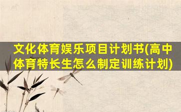文化体育娱乐项目计划书(高中体育特长生怎么制定训练计划)