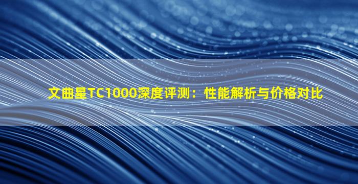 文曲星TC1000深度评测：性能解析与价格对比