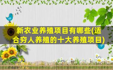 新农业养殖项目有哪些(适合穷人养殖的十大养殖项目)