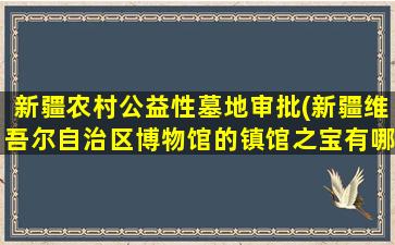 新疆农村公益性墓地审批(新疆维吾尔自治区博物馆的镇馆之宝有哪些)