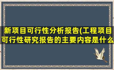 新项目可行性分析报告(工程项目可行性研究报告的主要内容是什么)
