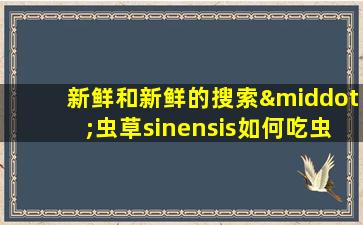 新鲜和新鲜的搜索·虫草sinensis如何吃虫草sinensis？食用虫草的最佳方法是什么？
