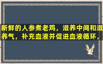 新鲜的人参煮老鸡，滋养中间和滋养气，补充血液并促进血液循环，平静下来并改善智慧