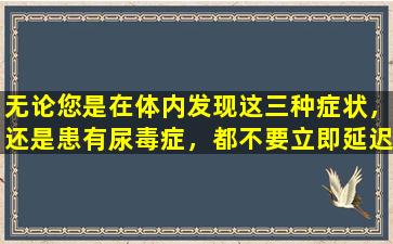 无论您是在体内发现这三种症状，还是患有尿毒症，都不要立即延迟寻求治疗