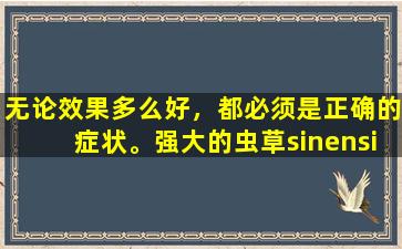 无论效果多么好，都必须是正确的症状。强大的虫草sinensis非常容易食用