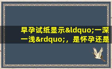 早孕试纸显示“一深一浅”，是怀孕还是没怀孕？不要被妊娠测试所欺骗