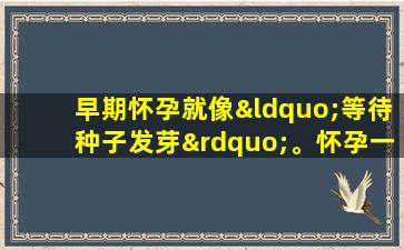 早期怀孕就像“等待种子发芽”。怀孕一个月后可以检测到b-拆卸吗？