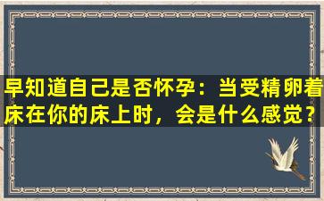 早知道自己是否怀孕：当受精卵着床在你的床上时，会是什么感觉？