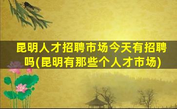 昆明人才招聘市场今天有招聘吗(昆明有那些个人才市场)