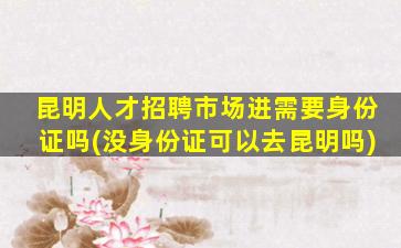 昆明人才招聘市场进需要身份证吗(没身份证可以去昆明吗)