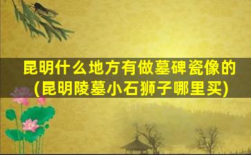 昆明什么地方有做墓碑瓷像的(昆明陵墓小石狮子哪里买)