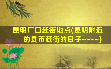 昆明厂口赶街地点(昆明附近的县市赶街的日子~~~~)