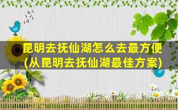 昆明去抚仙湖怎么去最方便(从昆明去抚仙湖最佳方案)