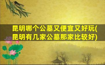 昆明哪个公墓又便宜又好玩(昆明有几家公墓那家比较好)