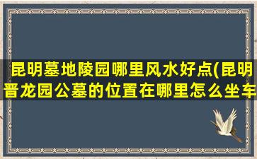 昆明墓地陵园哪里风水好点(昆明晋龙园公墓的位置在哪里怎么坐车去)