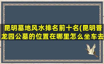昆明墓地风水排名前十名(昆明晋龙园公墓的位置在哪里怎么坐车去)