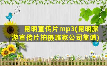 昆明宣传片mp3(昆明旅游宣传片拍摄哪家公司靠谱)