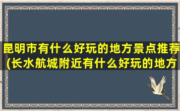 昆明市有什么好玩的地方景点推荐(长水航城附近有什么好玩的地方)