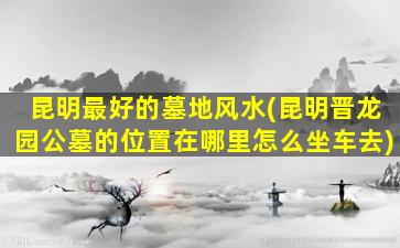 昆明最好的墓地风水(昆明晋龙园公墓的位置在哪里怎么坐车去)
