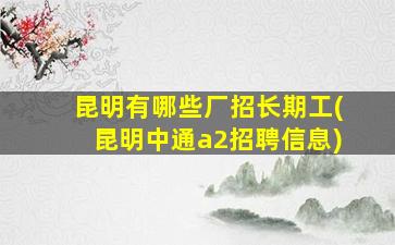 昆明有哪些厂招长期工(昆明中通a2招聘信息)