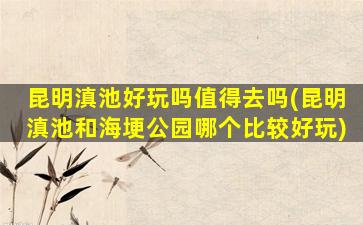 昆明滇池好玩吗值得去吗(昆明滇池和海埂公园哪个比较好玩)