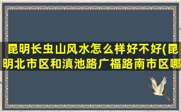 昆明长虫山风水怎么样好不好(昆明北市区和滇池路广福路南市区哪个发展得更好)