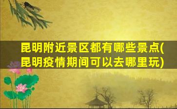 昆明附近景区都有哪些景点(昆明疫情期间可以去哪里玩)