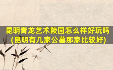 昆明青龙艺术陵园怎么样好玩吗(昆明有几家公墓那家比较好)