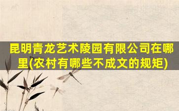 昆明青龙艺术陵园有限公司在哪里(农村有哪些不成文的规矩)