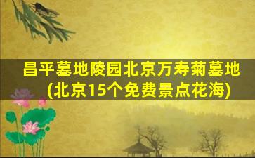 昌平墓地陵园北京万寿菊墓地(北京15个免费景点花海)
