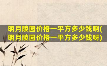 明月陵园价格一平方多少钱啊(明月陵园价格一平方多少钱呀)