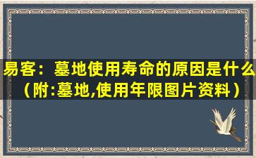 易客：墓地使用寿命的原因是什么（附:墓地,使用年限图片资料）