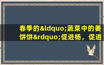 春季的“蔬菜中的姜饼饼”促进杨，促进Qi并改变痰液