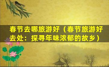 春节去哪旅游好（春节旅游好去处：探寻年味浓郁的故乡）