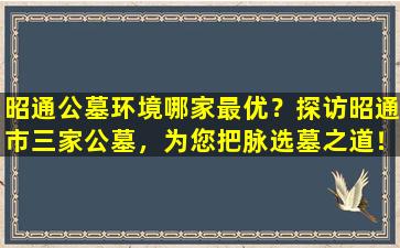 昭通公墓环境哪家最优？探访昭通市三家公墓，为您把脉选墓之道！